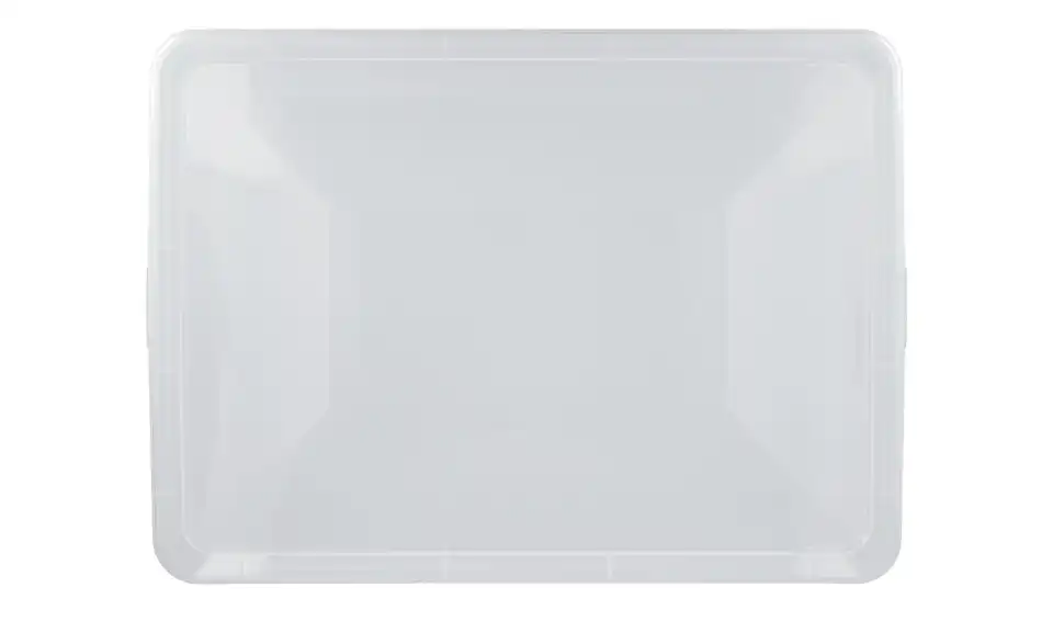 Rotho Aufbewahrungsbox mit Deckel 36,5 cm