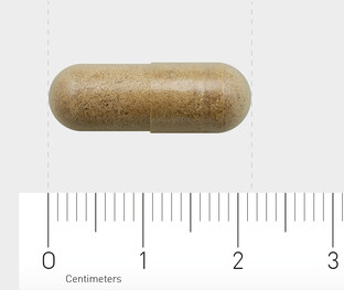 AOV 813 Ginkgo Biloba Extract Vegacaps 60VCP