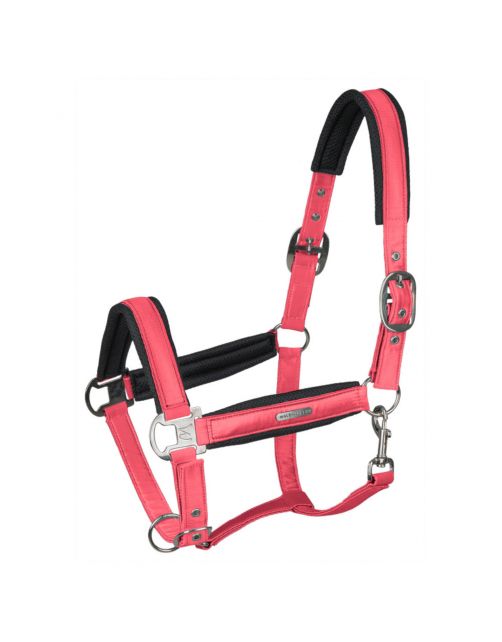 Waldhausen Halter Mesh Fuchsia - Paardenhalster