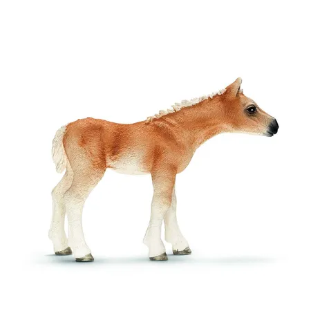 Schleich® 13699 Horse Club Haflinger Fohlen