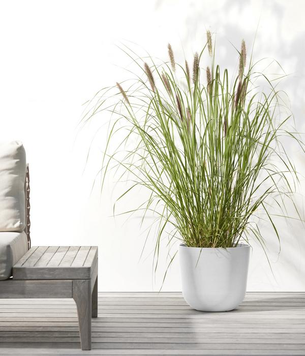 Ecopots Kunststoff-Topf Oslo mit Wassersystem,