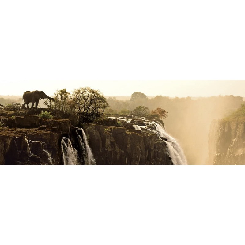 Puzzle 1000 pièces Elephant