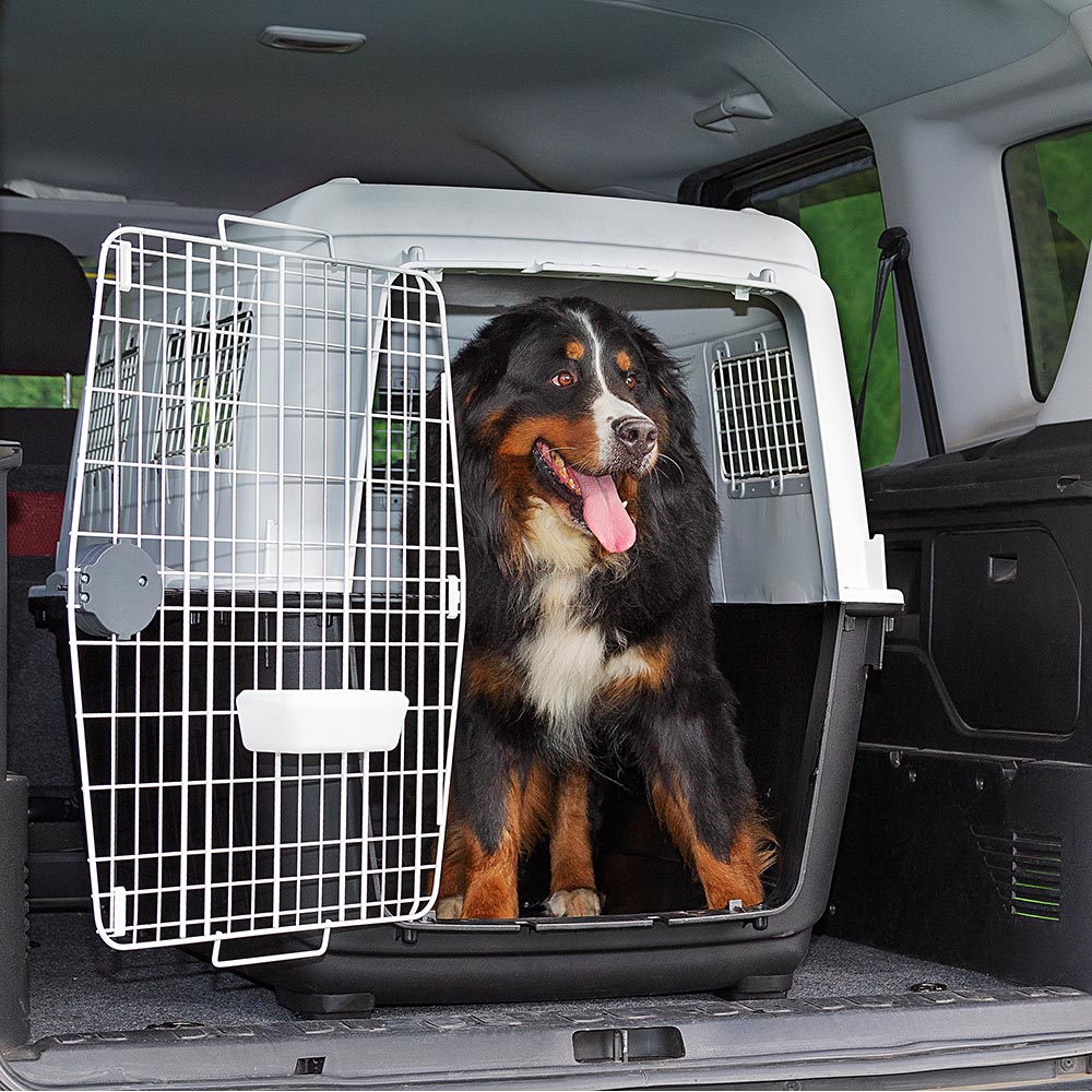 Transport pour grands chiens atlas 80, avec mangeoire et accessoires, fermeture de sécurité, grilles d'aération
