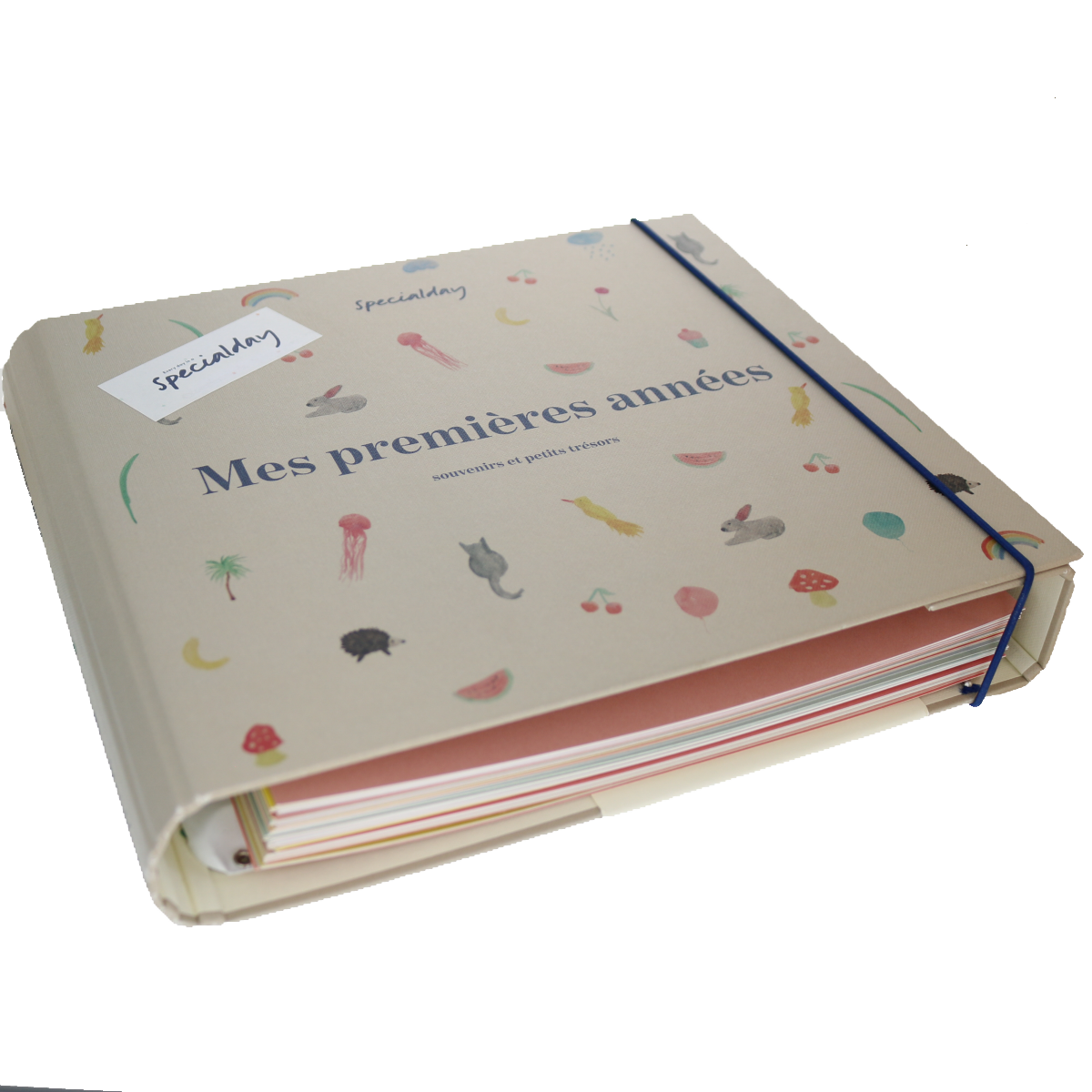 Livre de naissance 