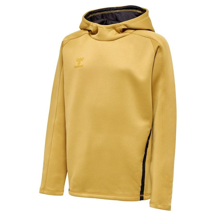 Sweat à capuche