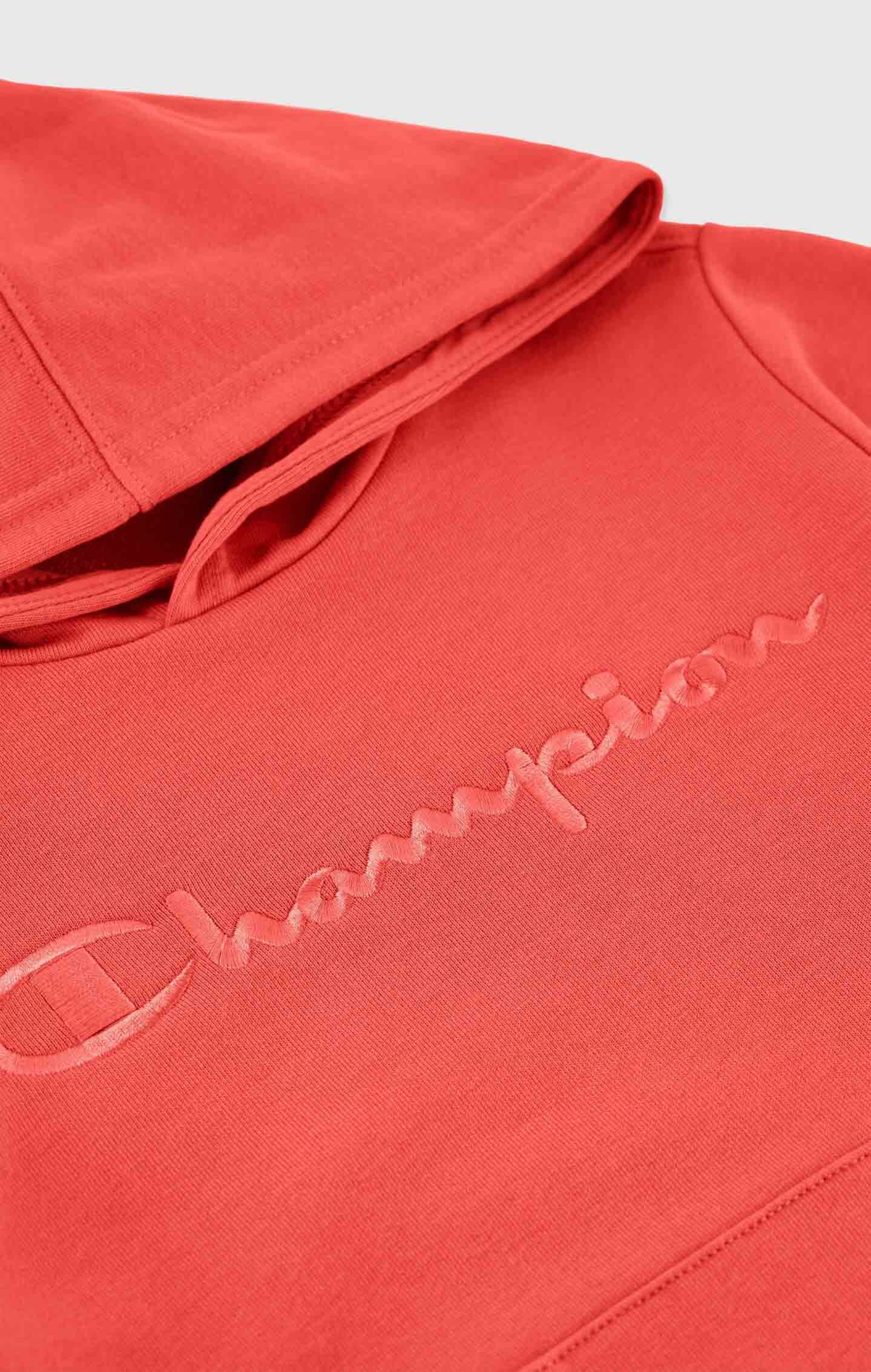 Tonal Icons Hooded Sweatshirt Gutt Cosy Brick Red
