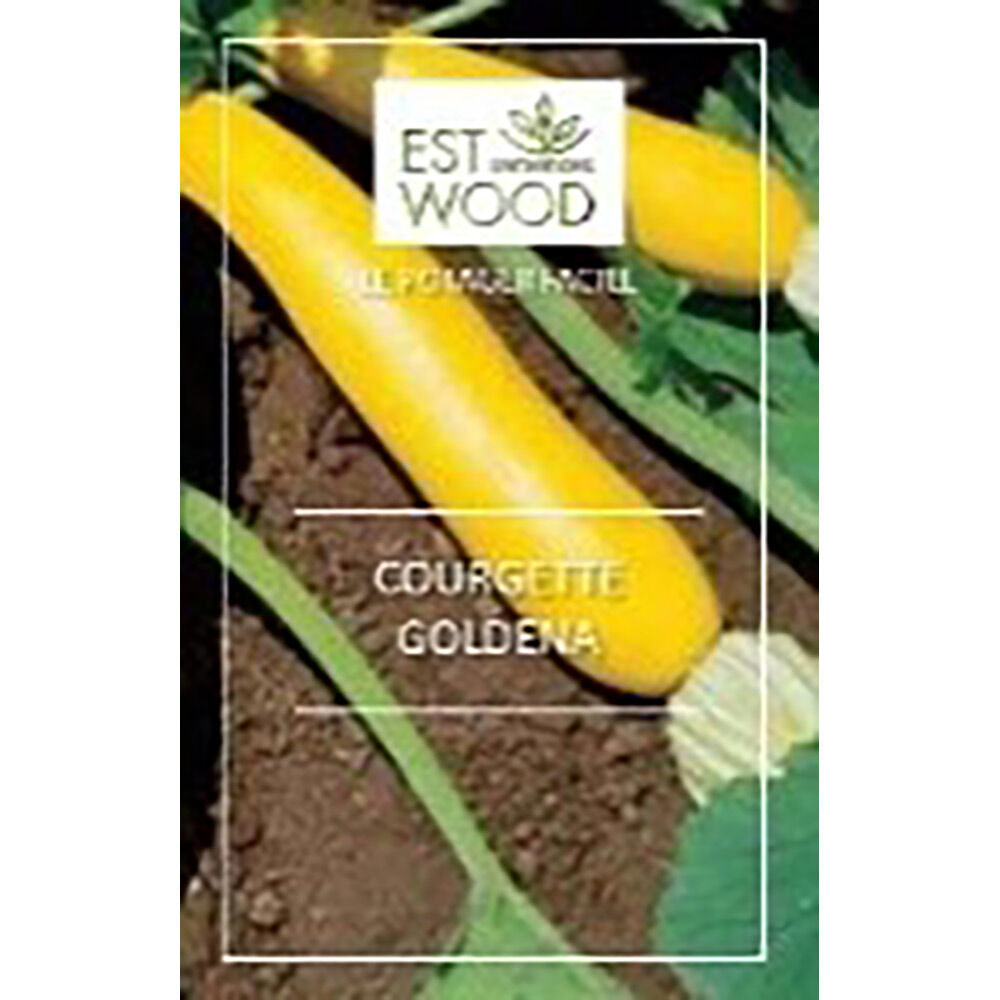 Semence Courgette Goldena jaune 1 gr