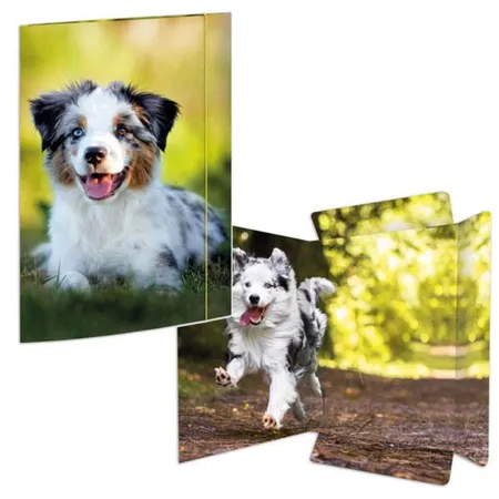 RNK Verlag 45360 Zeichenmappe BestFriend A3