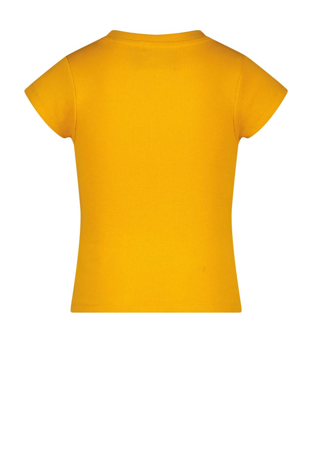 Raizzed T-shirt Hala oranje
