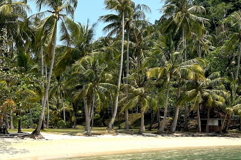 Eilandhoppen in Thailand: Bangkok, Koh Kood & Koh Chang