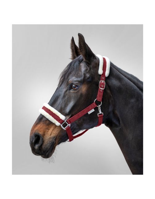 Waldhausen Halster First Bordeaux - Paardenhalster