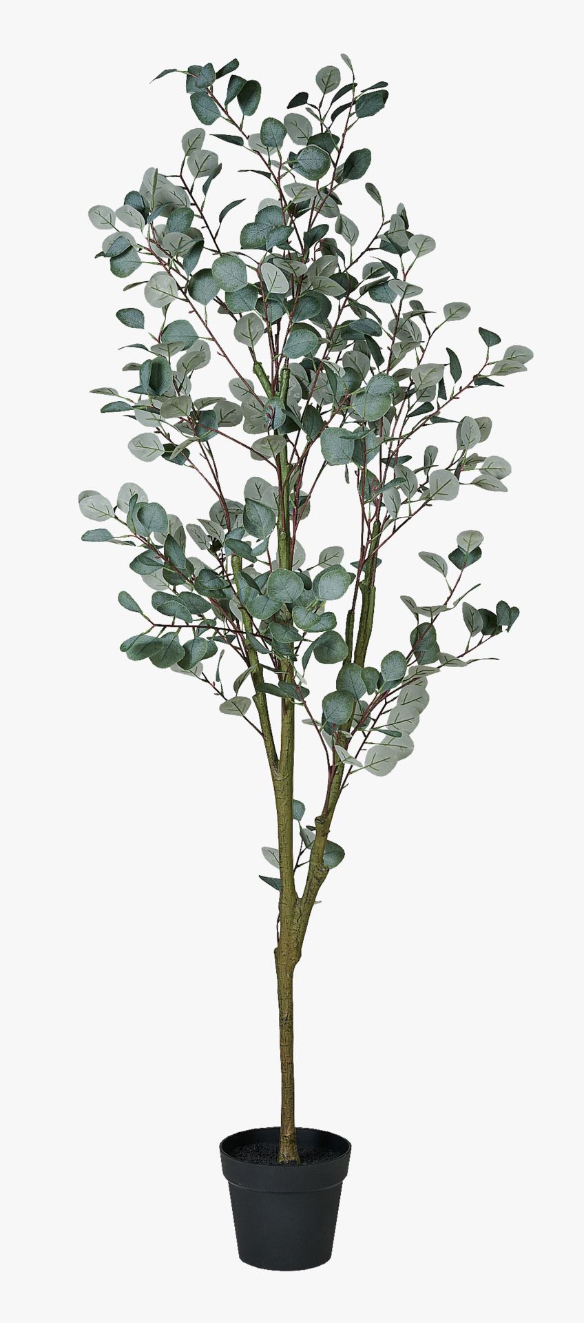 Plante grønn - 50x50x180 cm