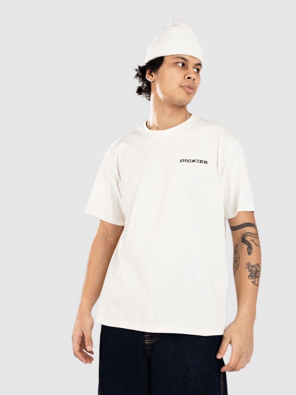 Dickies Landascape T-Shirt egret