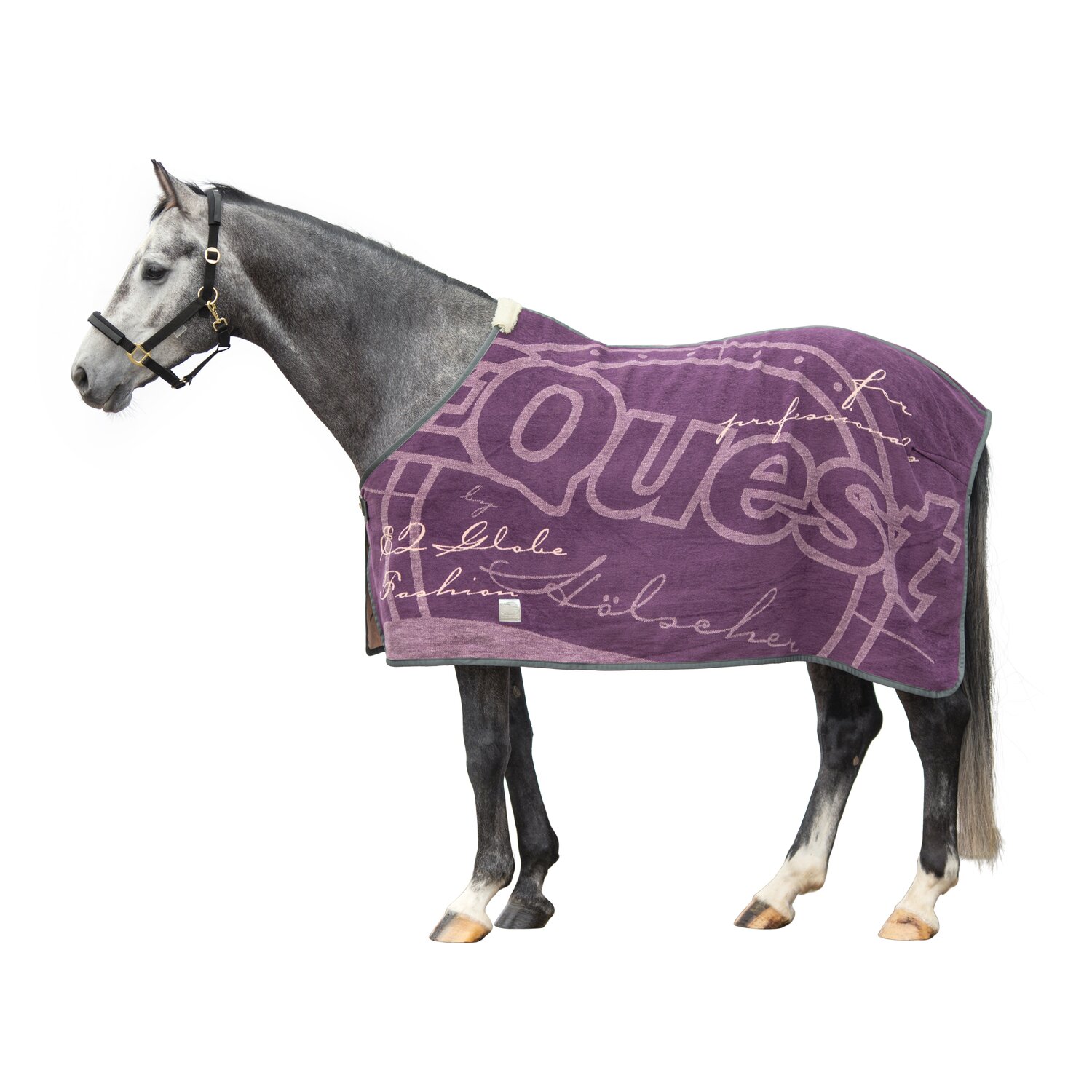 EQUEST Dralondecke Globe  - aubergine