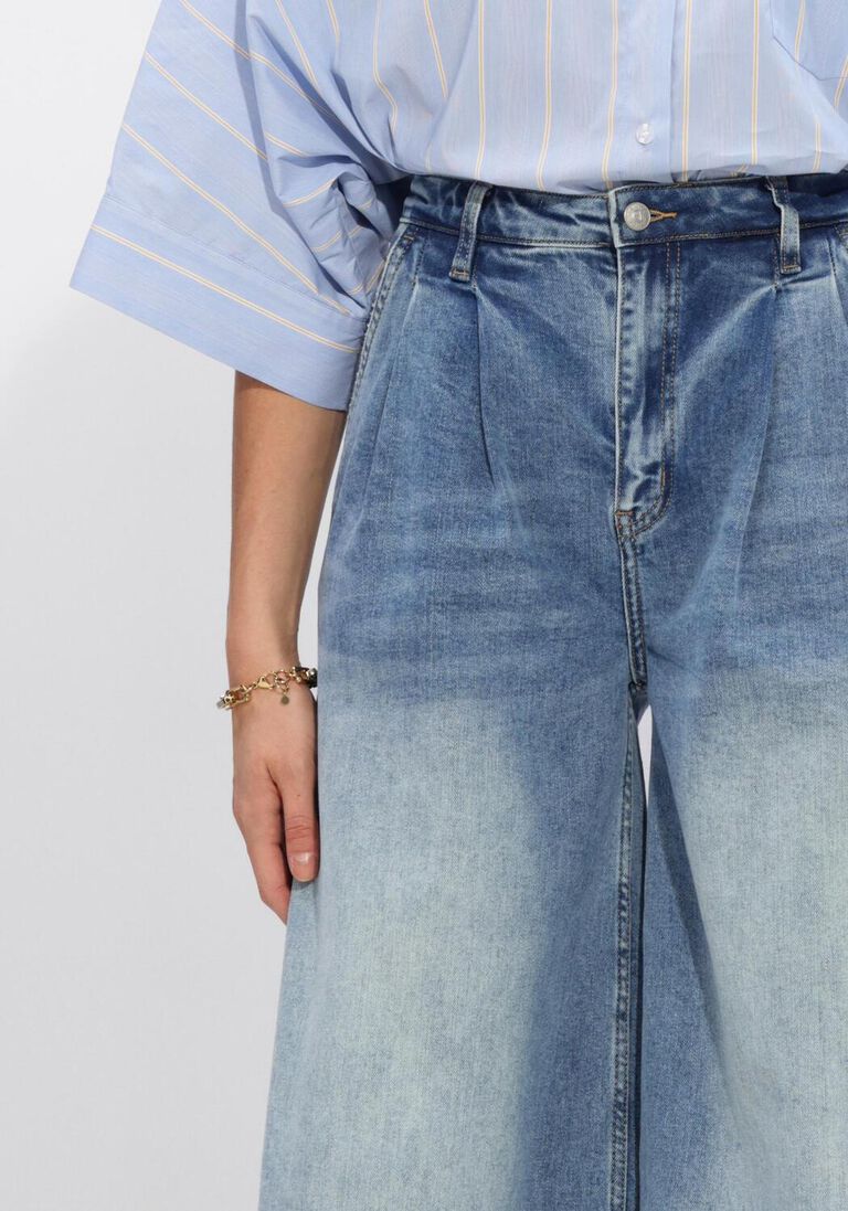 blauwe janice pantalon dollar