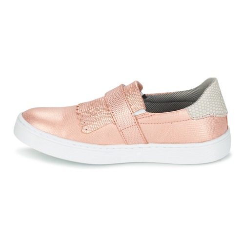 Bullboxer - ADJAGUE - Rose / Or