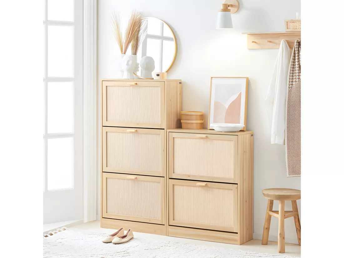 SoBuy Armoire à Chaussures 2 Abattants, Commode à Chaussures, Étagère à Chaussures, Meuble de Rangement à Chaussures avec 2 portes, Meuble d'entrée 60 x 24 x 80 cm, FSR160-N
