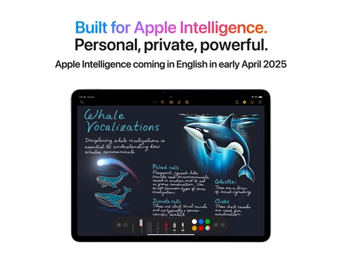 Apple 11-inch iPad Air Wi-Fi   Cellular 256GB - Space Grey