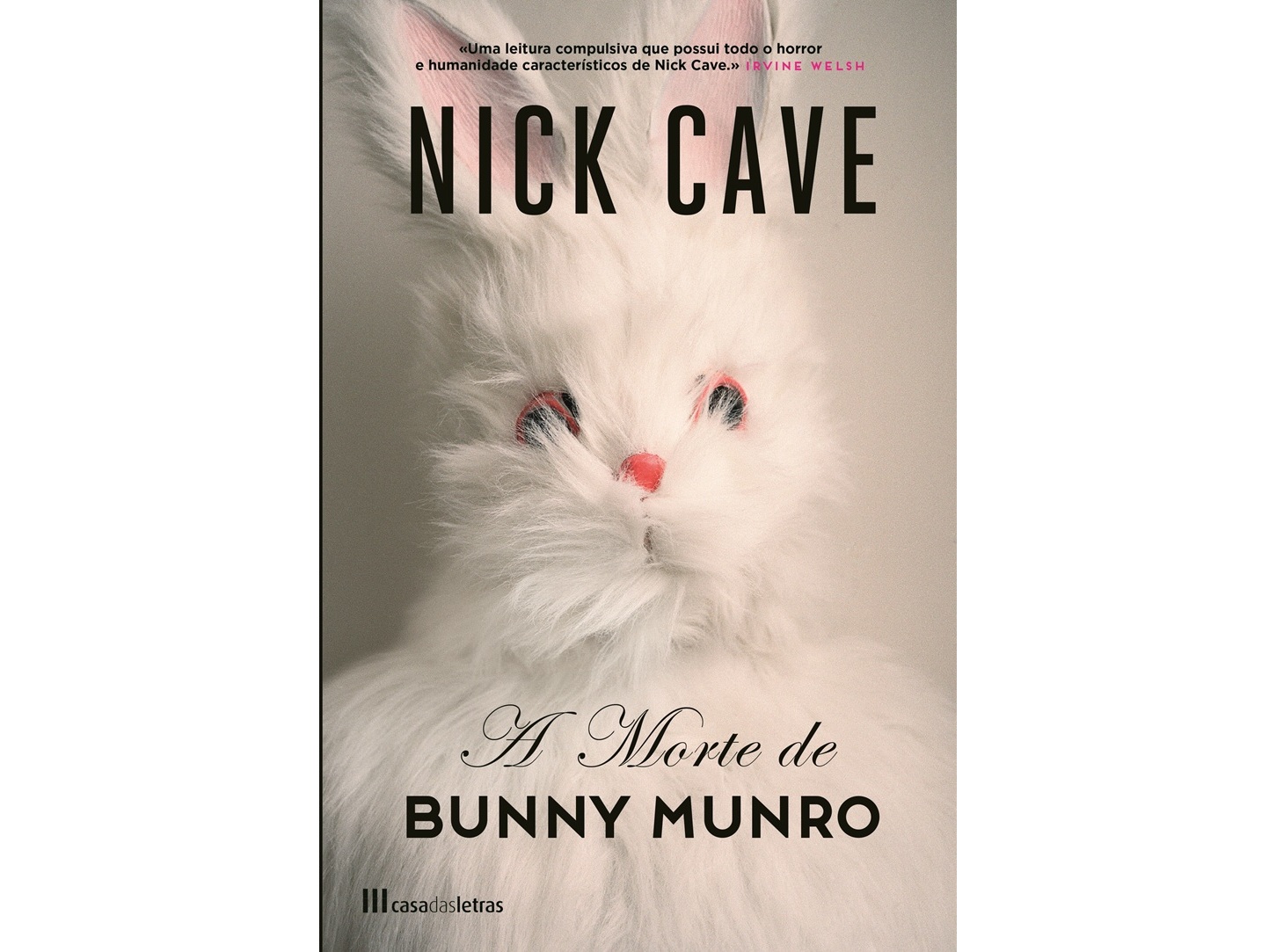LIVRO A MORTE DE BUNNY MUNRO DE NICK CAVE