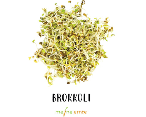 Biologische kiemset, Sprouts, My Harvest 'Kitchen Kick', set van 4