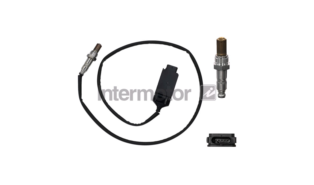 Sensor