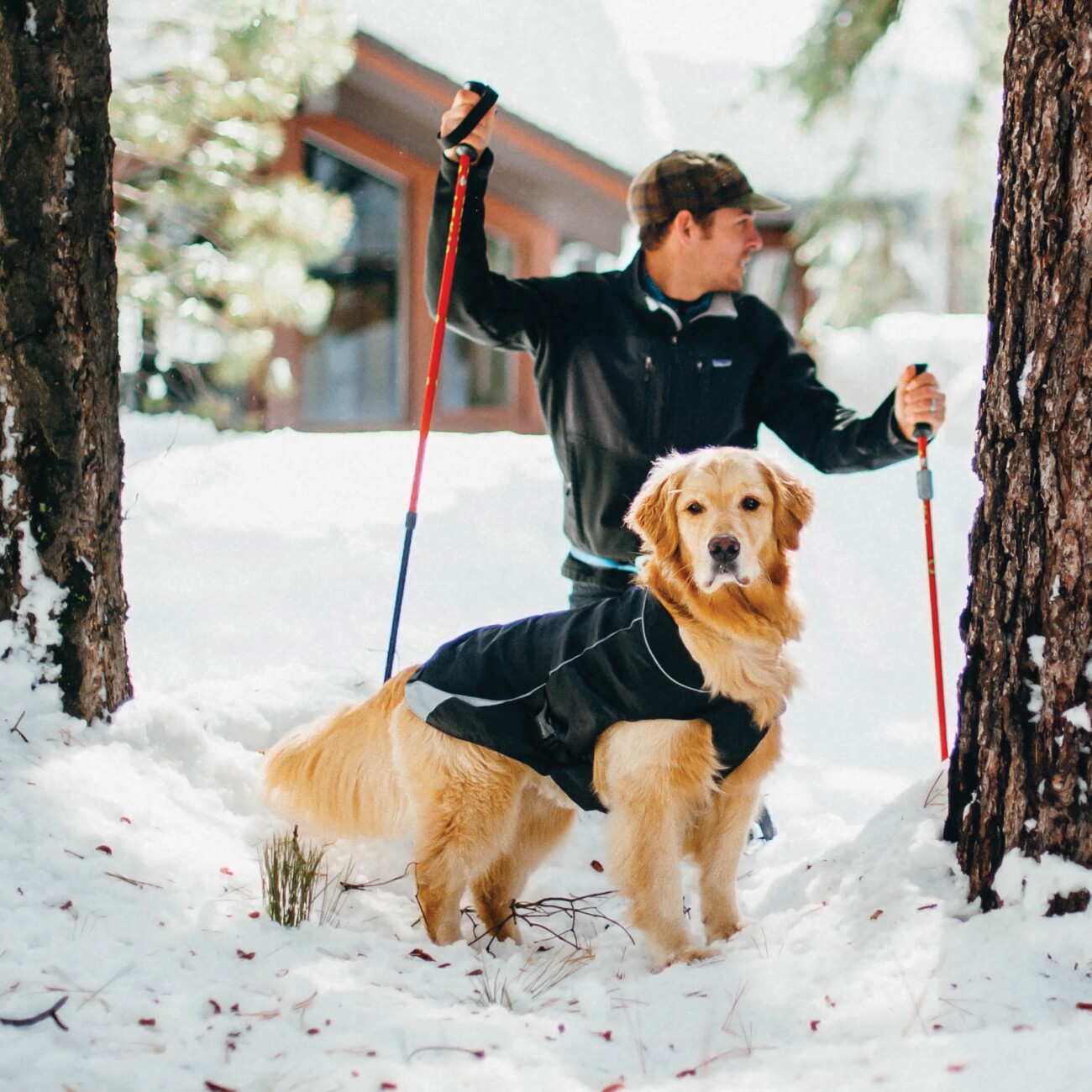 Kurgo North Country Hundemantel M