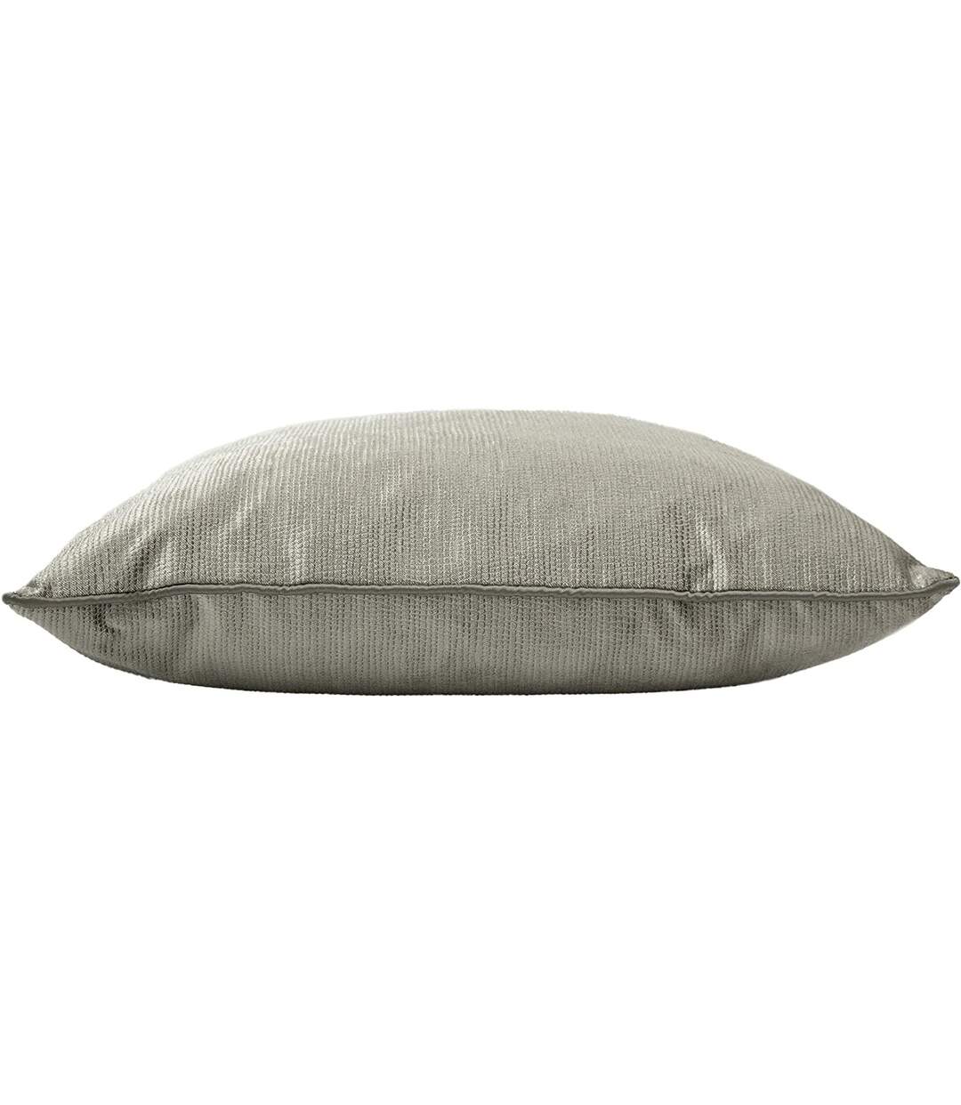 Riva Home - Housse de coussin STELLA (Argenté) (Taille unique) - UTRV1892