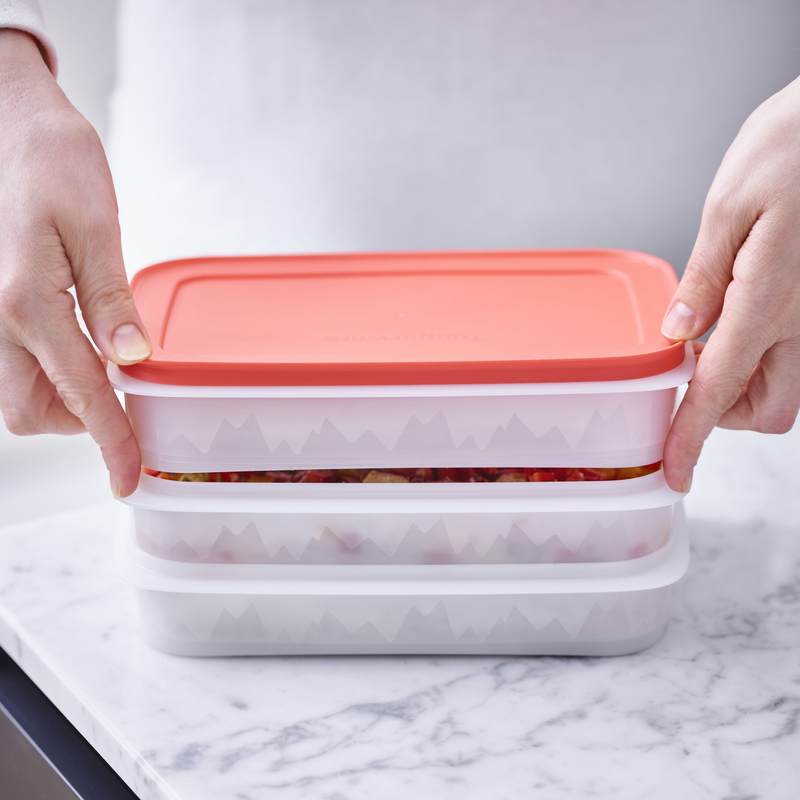 Eiskristall Stapelprofi Platzsparender Gefrierbehälter für Steaks, Schnitzel sowie Blätterteigstückchen, Stangenbohnen und vieles mehr