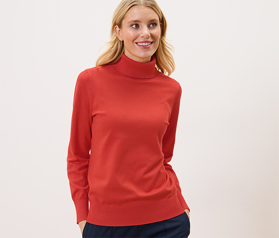 Feinstrick-Rollkragenpullover