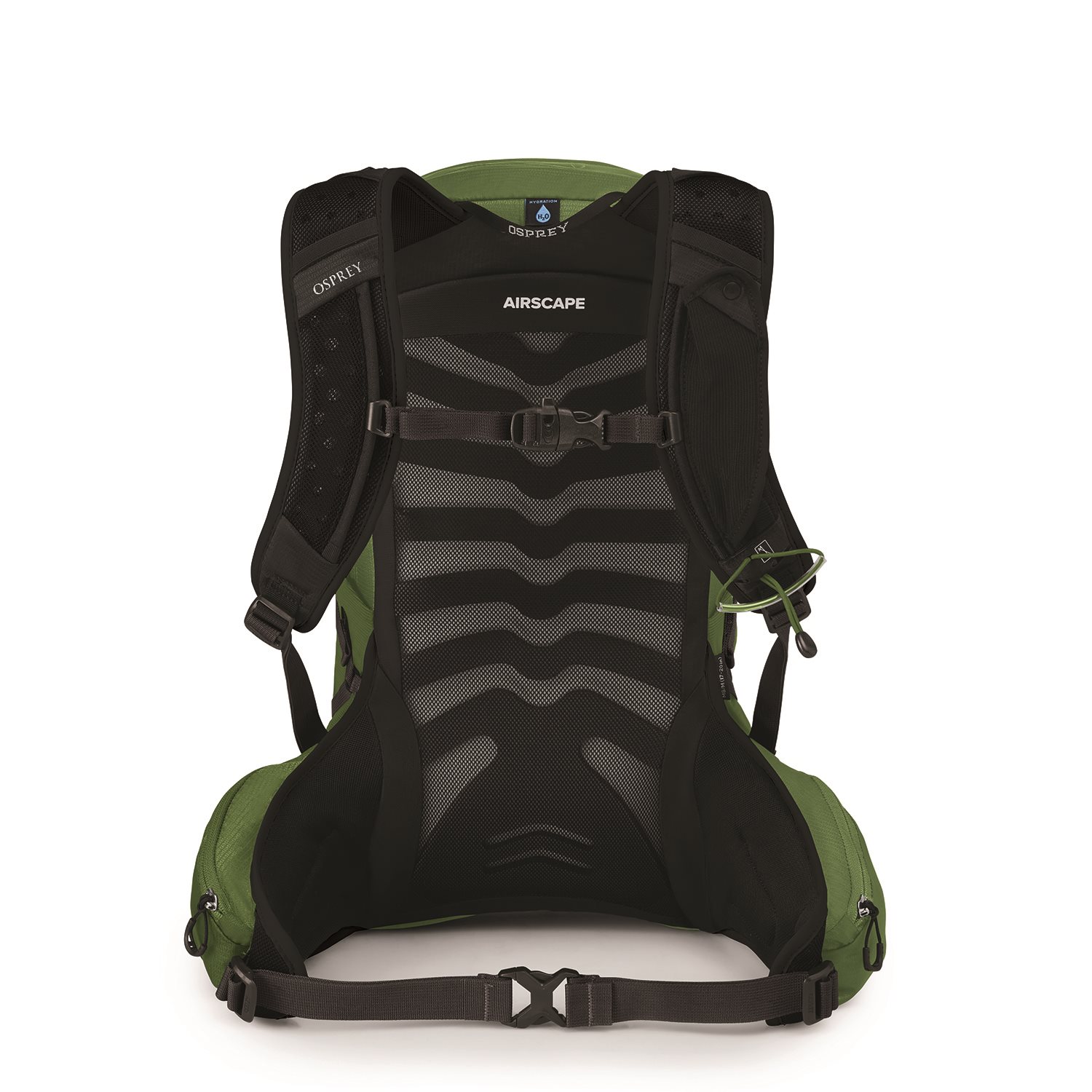 Osprey Talon 11 L/XL green belt/black