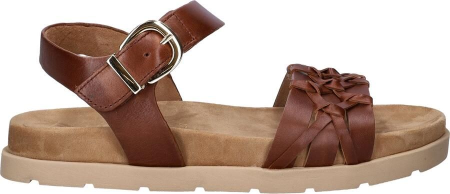Gabor 600 Sandalen Dames Bruin