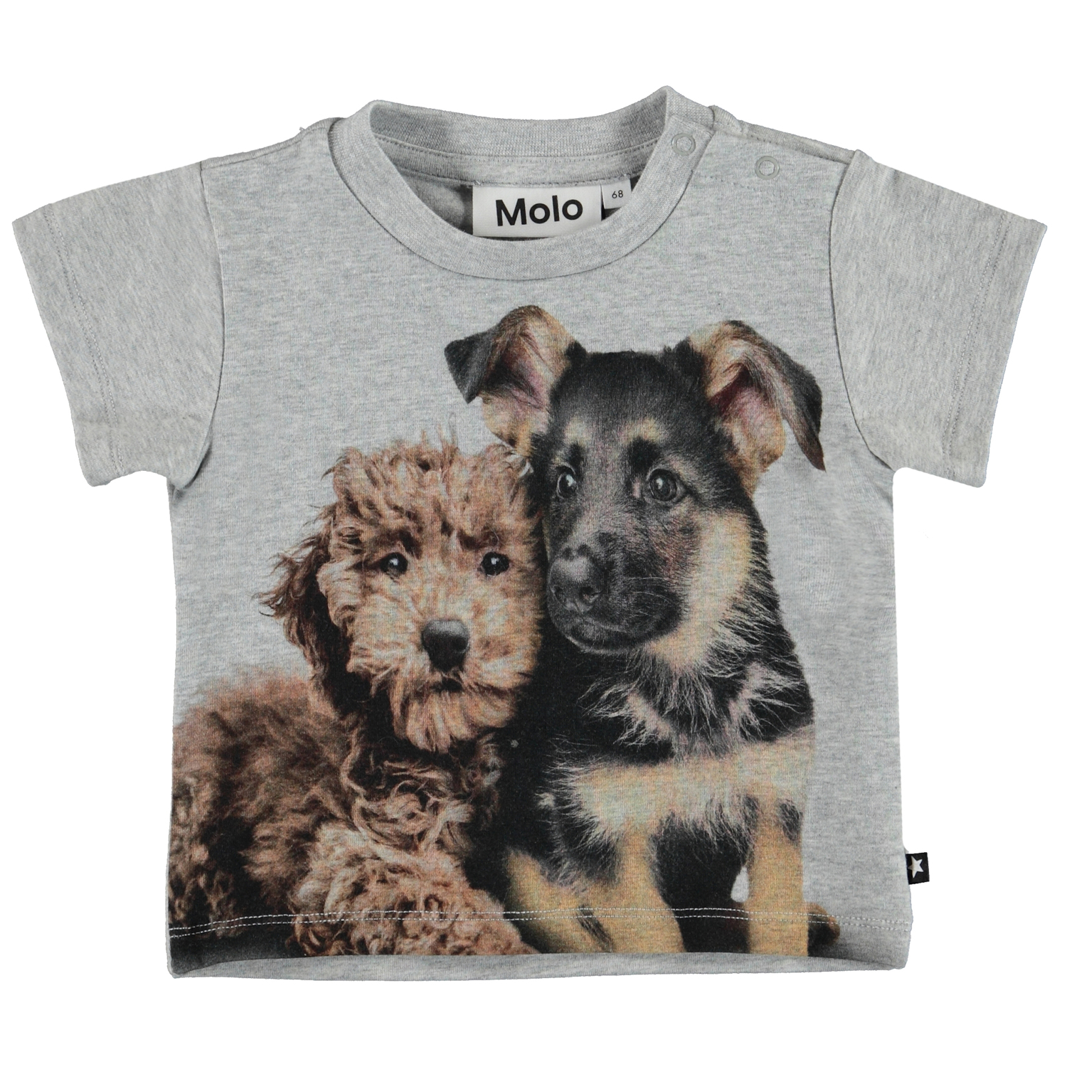 Emilio - Pups Mates
