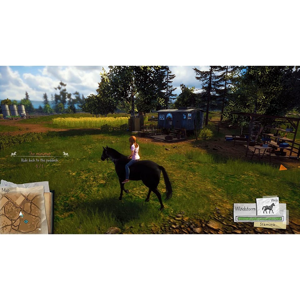 Windstorm: Start of a Great Friendship- PlayStation 4