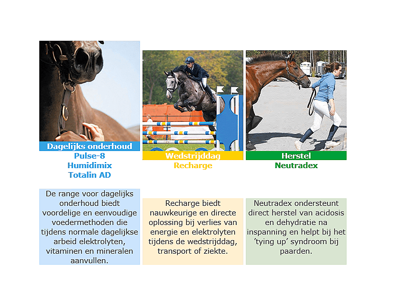 Recharge Virbac Paard 1 liter
