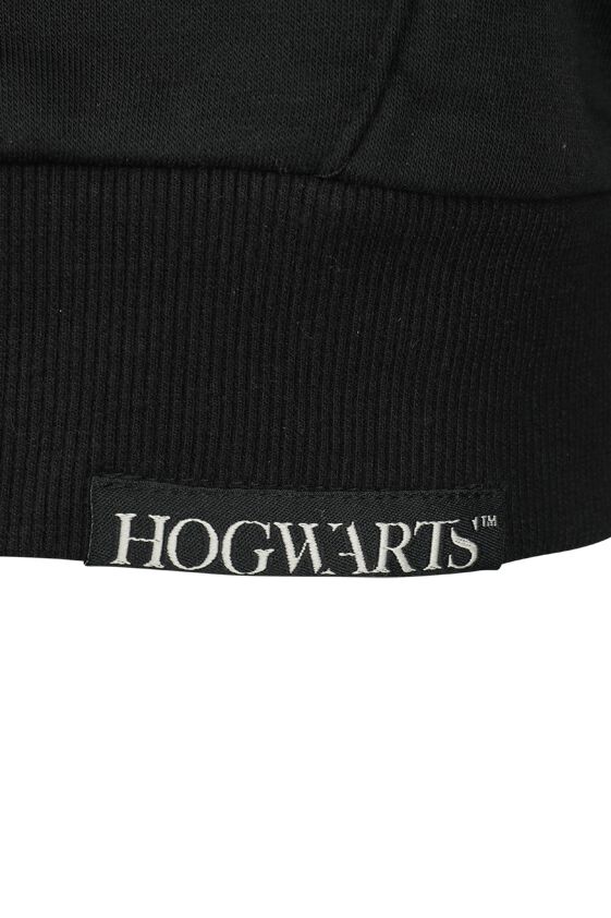 House Of Black | Harry Potter Sweat-shirt à capuche