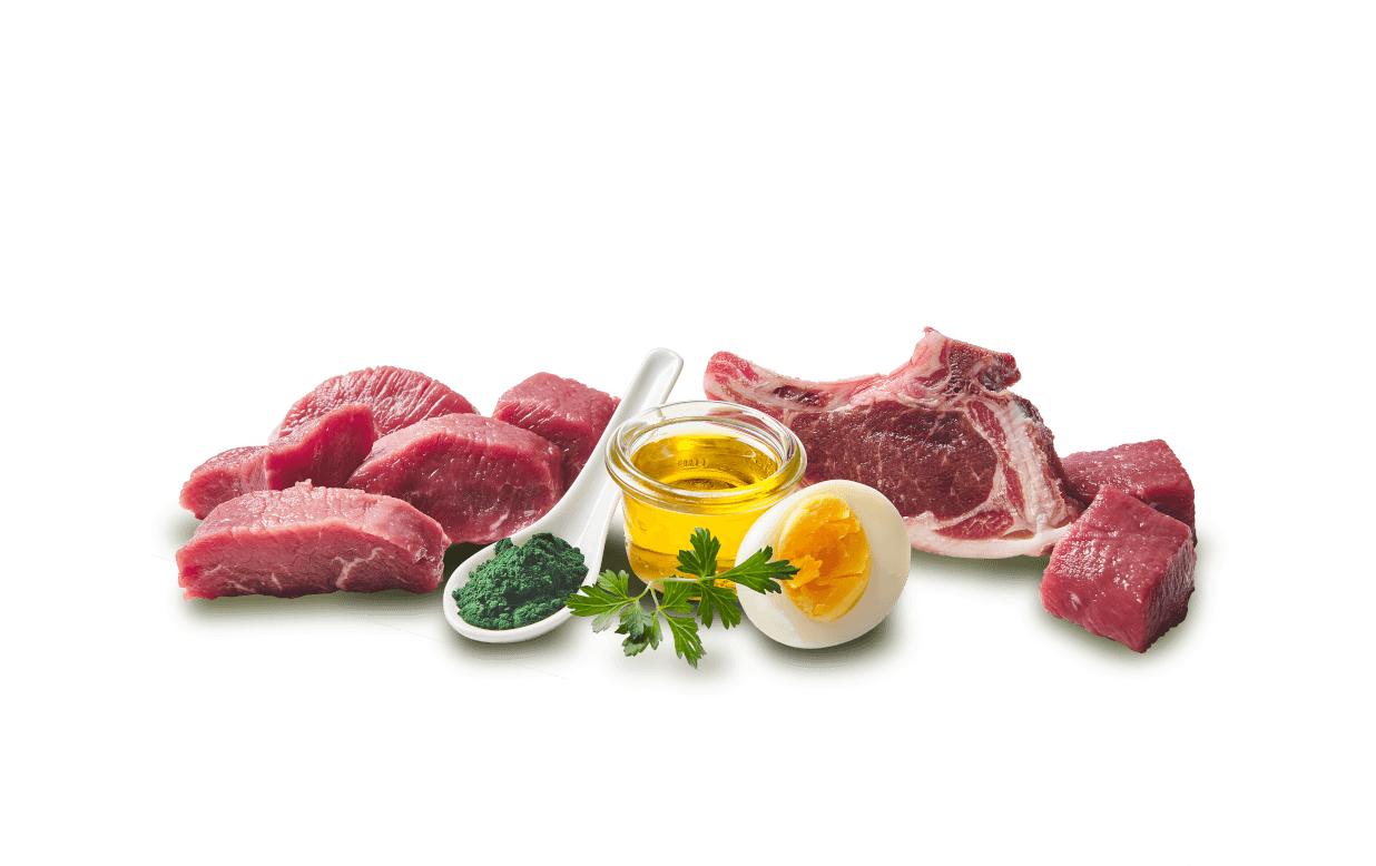 Nassfutter Dose Lamm Sensitive 200 gAlleinfuttermittel für ausgewachsene Hunde