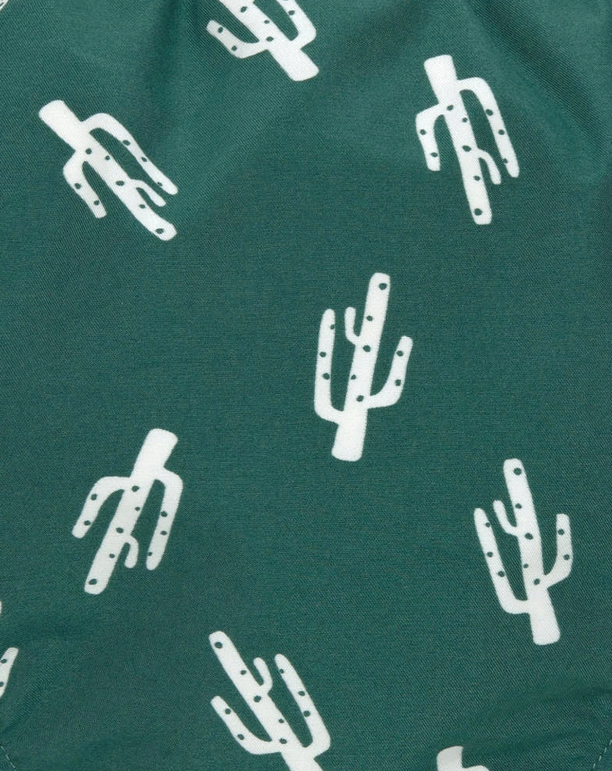 Schwimmwindel CACTUS in green