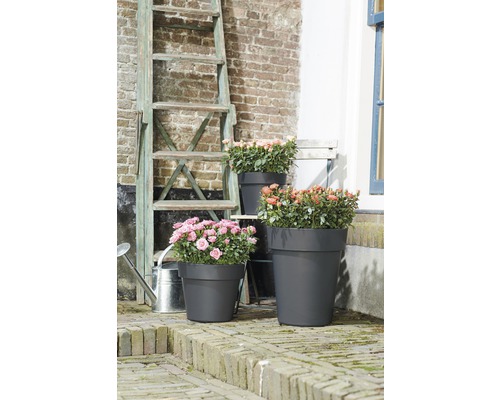 elho Green Basics plantenpot, kunststof, Ø 30 cm, H 25 cm, zwart