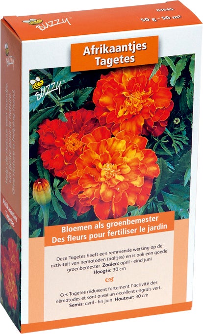 Buzzy groenbemester Afrikaantjes (Tagetes) 50gr
