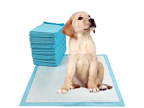 40st Hygienunderlägg / Kissmatta för Hund / Valpmatta - 60x60cm