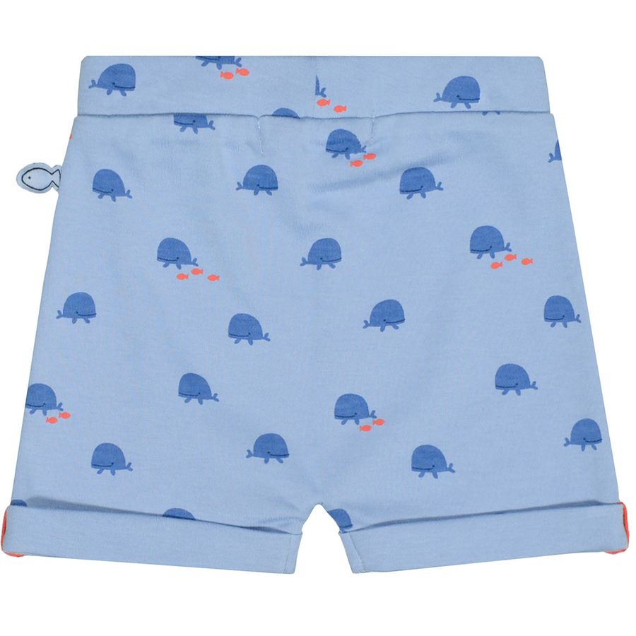 STACCATO Shorts soft ocean