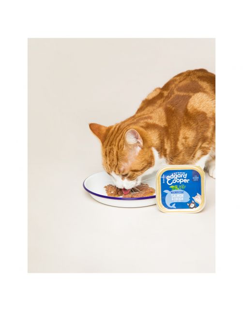 Edgard&Cooper Kuipje Senior - Kattenvoer - Kip Zalm 85 g