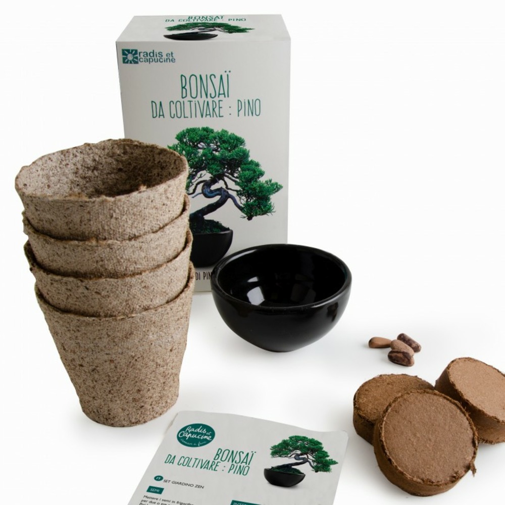 Kit de culture bonsaï avec pot