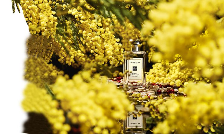 Jo Malone London Mimosa & Cardamom Cologne