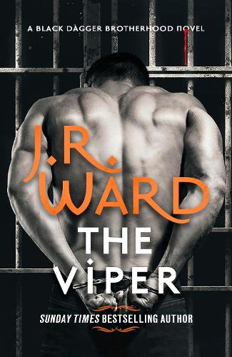 The Viper - Black Dagger Brotherhood: Prison Camp (Paperback)