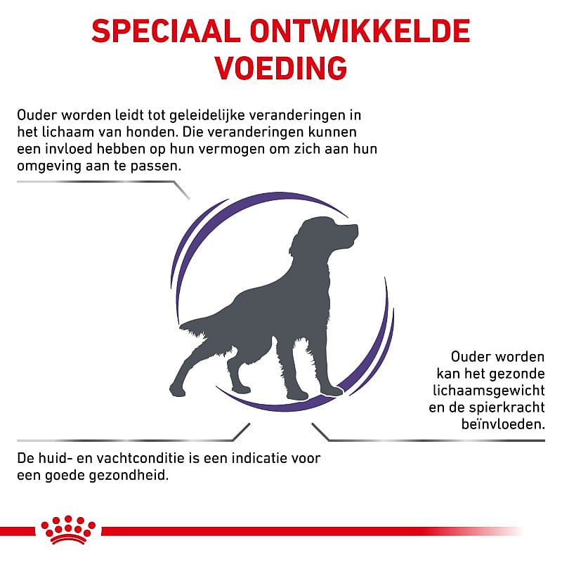 ROYAL CANIN® Senior Consult Mature 10-25Kg - Hondenvoer voor middelgrote, oudere honden vanaf 7 jaar