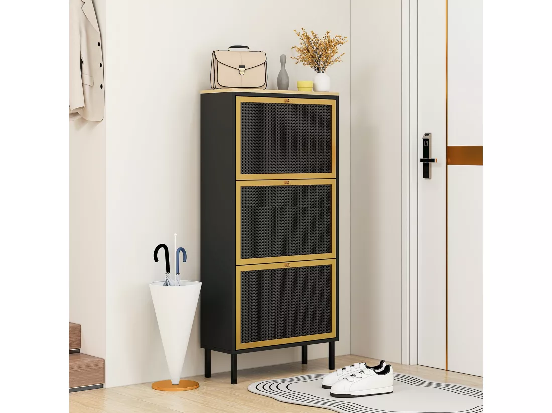 Haobosic - Meuble à chaussures avec trois portes et structure en métal tissé rotin, double étagère à chaussures, 60 cm, avec panneau arrière,noir