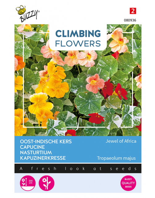 Buzzy Climbing Flowers - Tropaeolum Jewel Of Africa - Bloemenzaden - 3 g