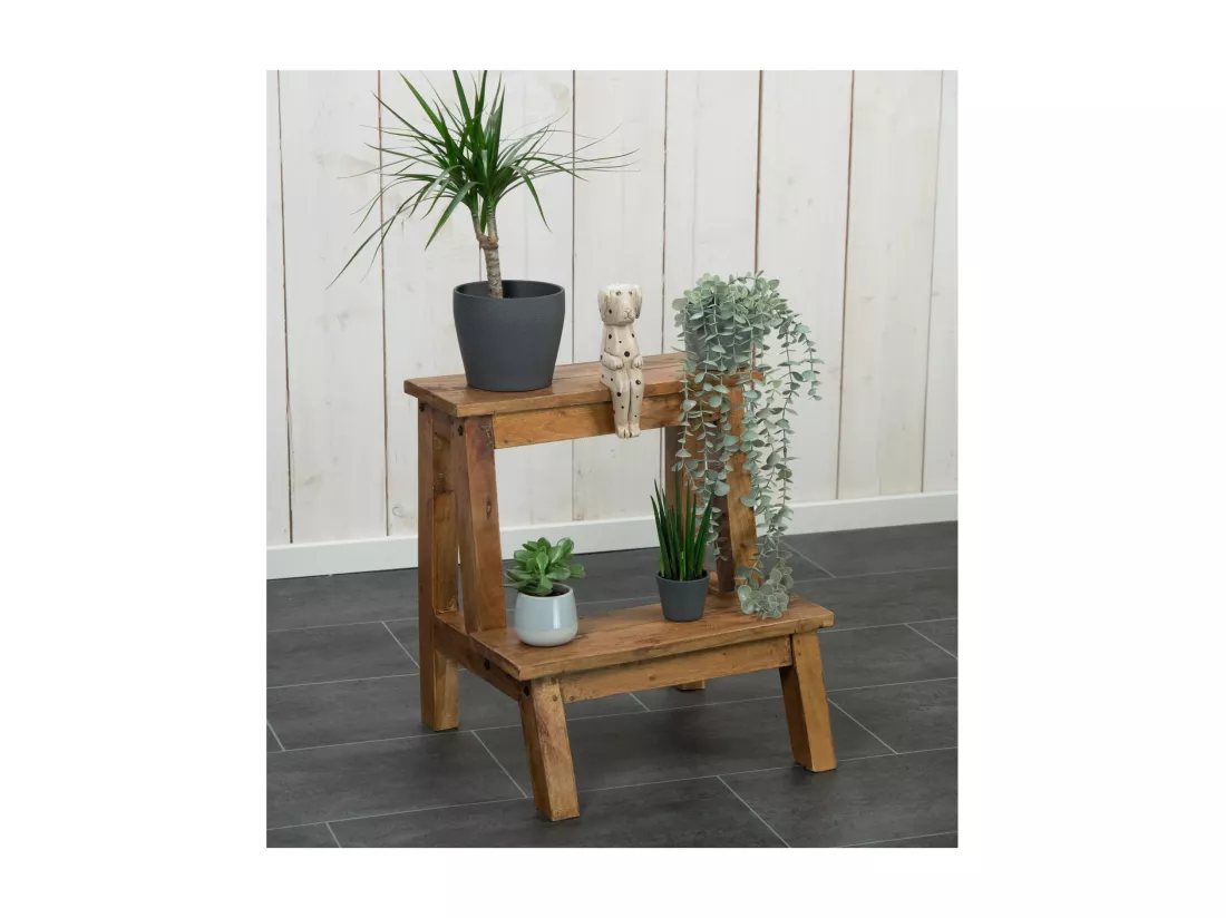 ÉCHELLE À PLANTES Ficus Bois massif de mahogany, 2 niveaux couleurs naturelles