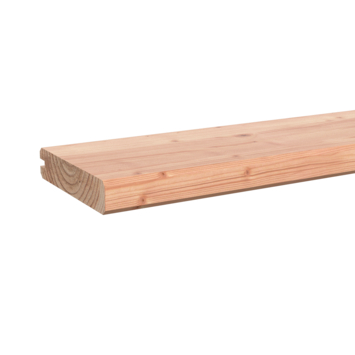 Afdekprofielplank Douglas ca. 180 x 13,5 x 2,8 cm